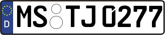 MS-TJ0277