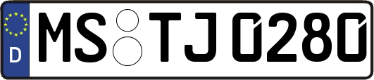 MS-TJ0280
