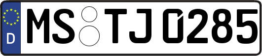 MS-TJ0285