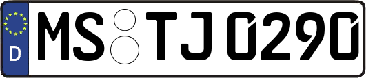 MS-TJ0290