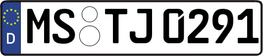 MS-TJ0291