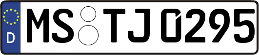 MS-TJ0295