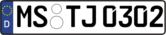 MS-TJ0302