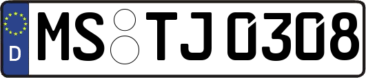 MS-TJ0308