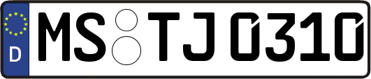 MS-TJ0310