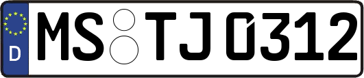 MS-TJ0312
