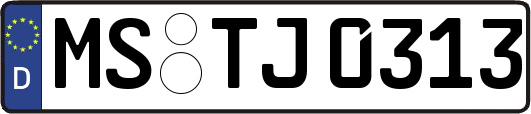 MS-TJ0313