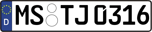 MS-TJ0316