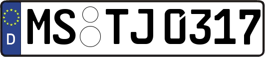 MS-TJ0317