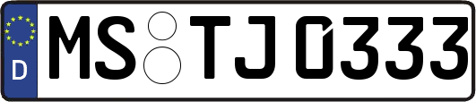 MS-TJ0333