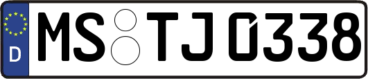 MS-TJ0338
