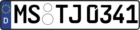 MS-TJ0341
