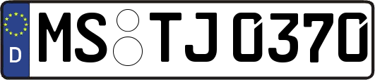 MS-TJ0370
