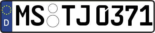 MS-TJ0371