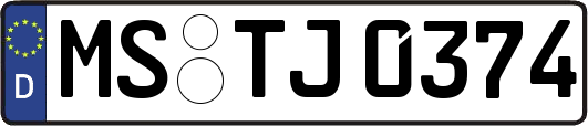 MS-TJ0374