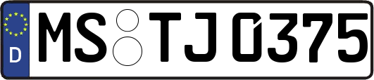 MS-TJ0375