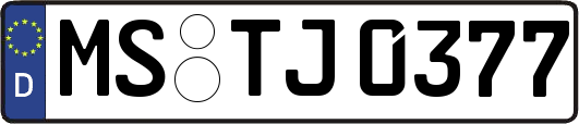 MS-TJ0377