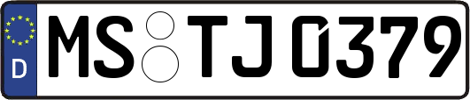 MS-TJ0379