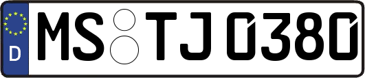 MS-TJ0380
