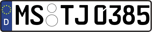 MS-TJ0385