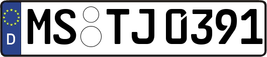 MS-TJ0391