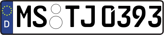 MS-TJ0393