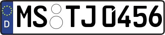 MS-TJ0456
