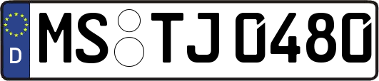 MS-TJ0480
