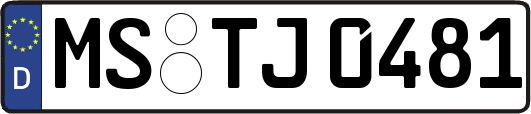 MS-TJ0481