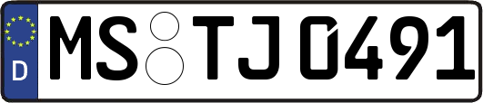 MS-TJ0491