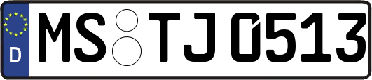 MS-TJ0513