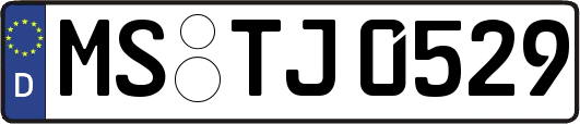 MS-TJ0529