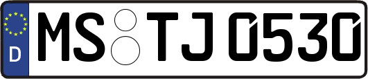 MS-TJ0530