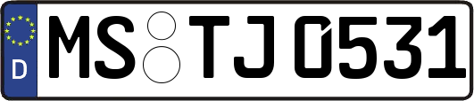 MS-TJ0531