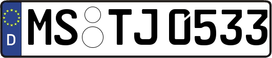 MS-TJ0533