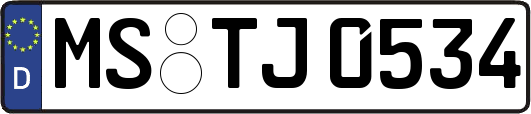 MS-TJ0534