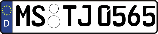 MS-TJ0565