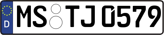 MS-TJ0579