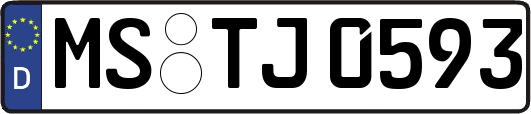MS-TJ0593
