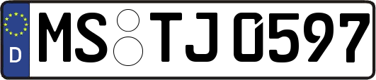 MS-TJ0597