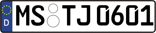 MS-TJ0601