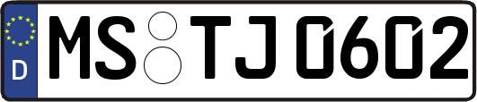 MS-TJ0602