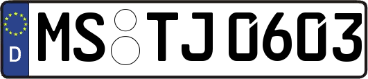 MS-TJ0603