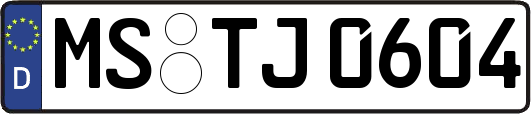 MS-TJ0604