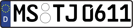 MS-TJ0611