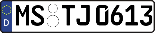 MS-TJ0613