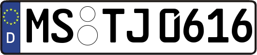 MS-TJ0616