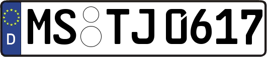 MS-TJ0617