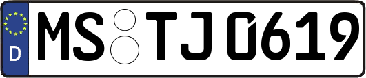 MS-TJ0619