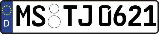MS-TJ0621